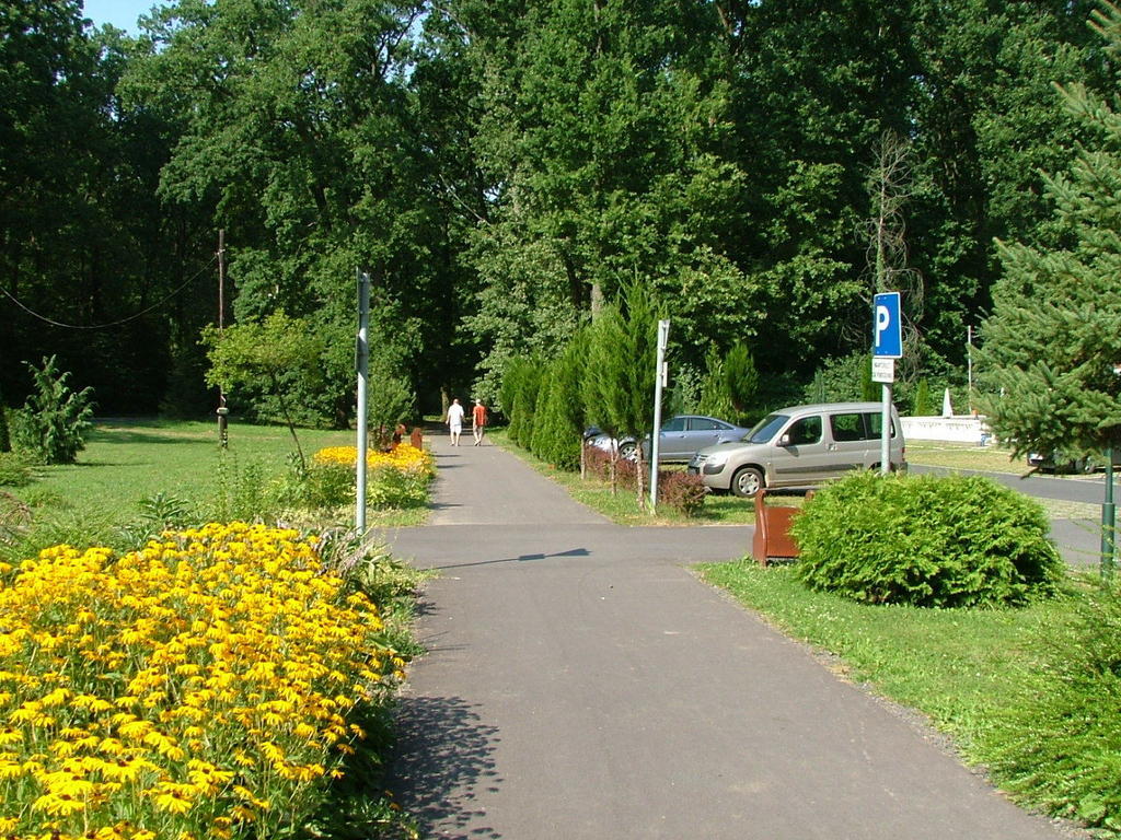Erdőgyöngye Étterem és Panzió Zalaegerszeg Exterior foto